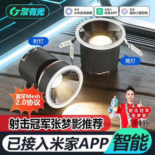 蓝牙Mesh2.0全光谱小山丘筒射灯