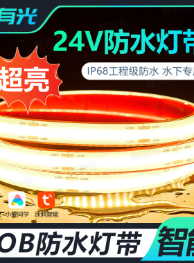 户外防水智能COB灯带led庭院水下台阶泡水24V柔性氛围水池泳池灯