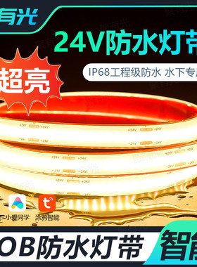 可泡水庭院户外智能COB防水灯带
