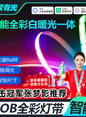 已接入米家APP智能RGBCW七彩无极调光COB灯带线型灯电竞房氛围灯