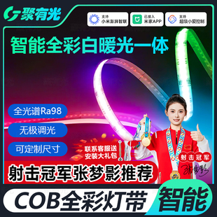 已接入米家APP智能RGBCW七彩无极调光COB灯带线型灯电竞房氛围灯