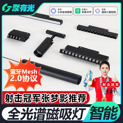 Mesh2.0智能全光谱磁吸轨道灯
