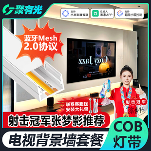 已接入米家APP电视背景墙智能灯带客厅悬空柜子底部灯槽氛围灯条