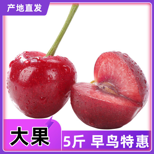 烟台大樱桃5斤美早品种可选现摘