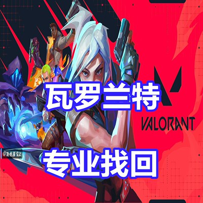瓦罗兰特 VALORANT  瓦洛兰特 特战英豪 专业英文代写 连坐 机器