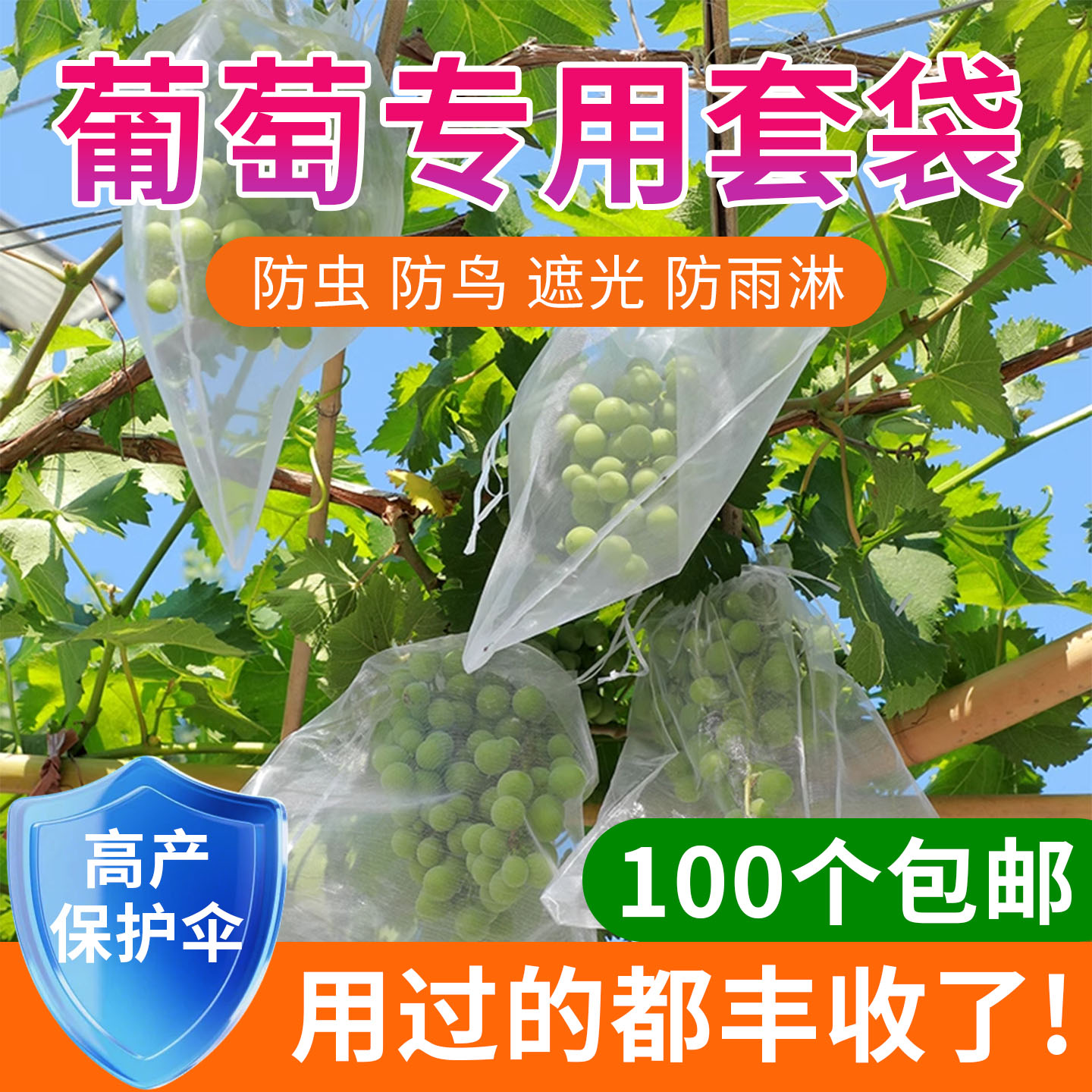 葡萄套袋专用袋子防虫防鸟神器纱网袋水果草莓阳光玫瑰保护袋套袋