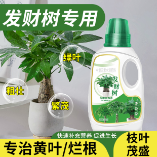 发财树营养液肥料专用肥治叶子发黄掉叶烂根室内盆栽植物花肥通用