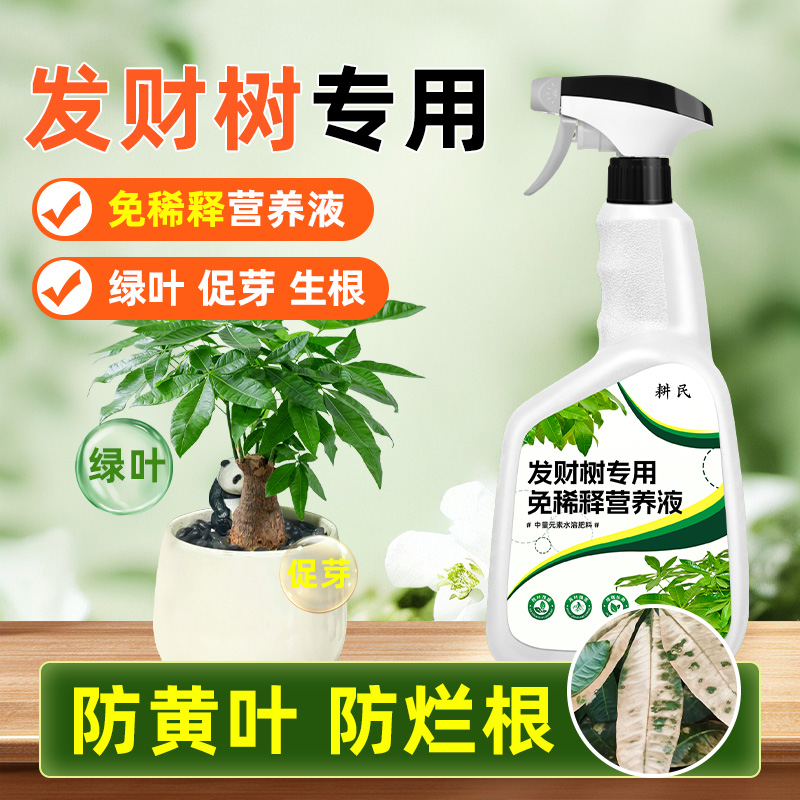 免稀释发财树专用营养液黄叶枯叶烂根肥料专用肥盆栽室内液体稀释