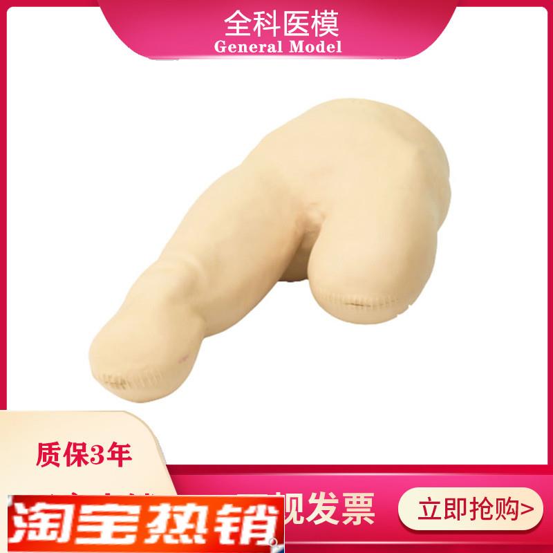 低位包扎模型腿部下肢截肢病人三角巾包裹训练教学假人体模具LV12