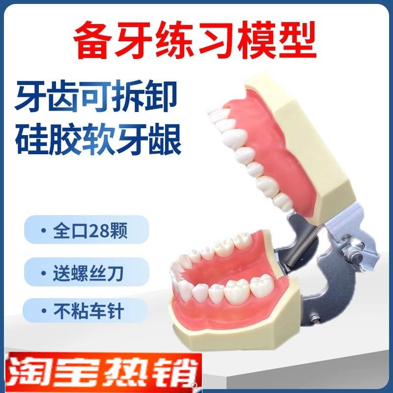 齿科口腔牙科模具医生练习考试树脂缝 可拆卸离体标准假备牙模型