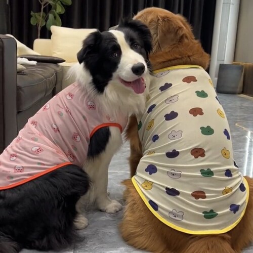 宠物狗狗猫咪夏季薄款防晒防掉毛背心网纱衣服比熊博美小中大型犬