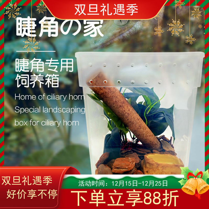 睫角R属守宫爬宠入门版饲养盒树晰进阶版饲养箱套装景观环境布置