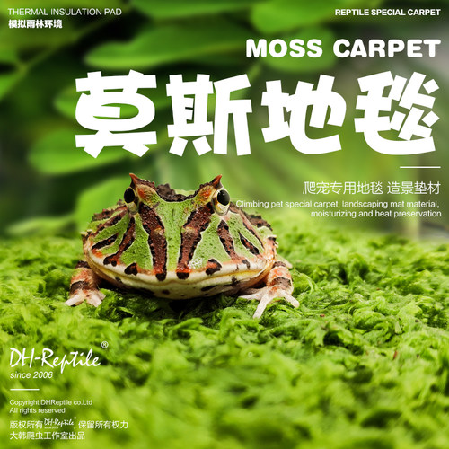 大韩爬宠雨林造景莫斯地毯宠物角蛙垫材爬虫雨林缸保湿超角蛙泥