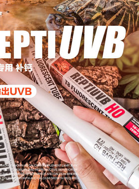 REPTIUVB HO专业多肉植物爬虫补钙UVB灯管超越10.0 T815W DH5.0