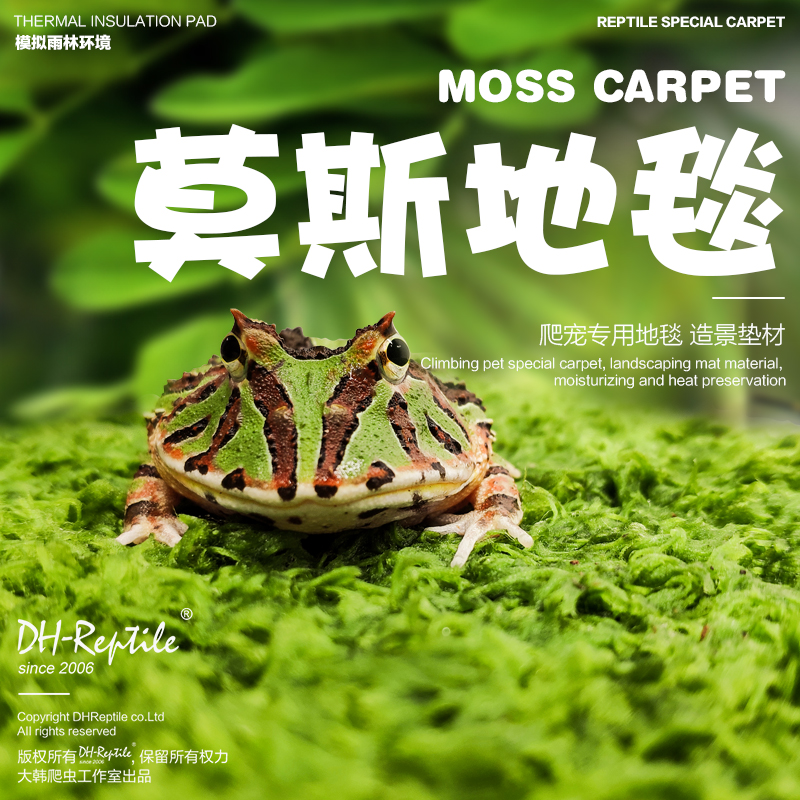 大韩爬宠雨林造景莫斯地毯宠物角蛙垫材爬虫雨林缸保湿超角蛙泥-封面