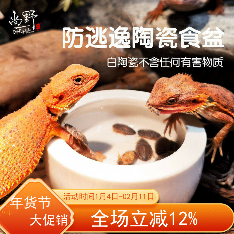 爬虫守宫蜥蜴食盆防逃逸爬宠鬃狮蜘蛛饲养箱活面包虫杜比亚陶瓷,宠物/宠物食品及用品,爬宠清洁及日用品,淘宝优惠券,粉丝福利购,淘宝优惠卷