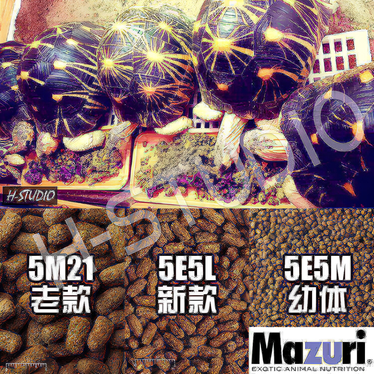 正品美国马祖瑞陆龟龟粮 经典MAZURI老款新款成年幼龟饲料M粮