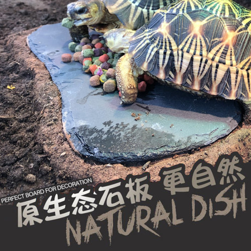 DH 原生态石板石盘 岩板 天然食盘 陆龟 磨指甲保湿助脱皮造景 - 封面