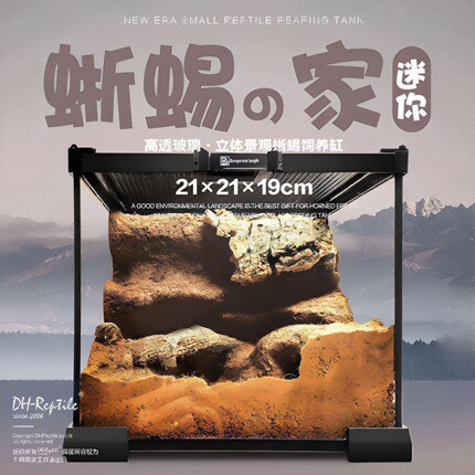 迷你爬虫蜥蜴原生态景观缸饲养缸爬宠环境造景水陆缸宠物饲养箱