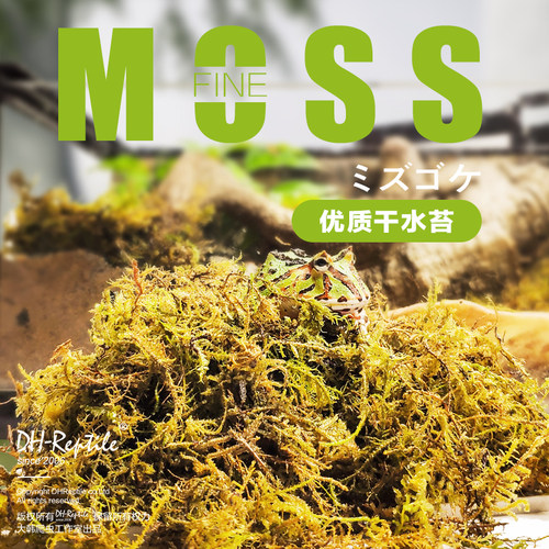 大韩爬宠垫材干水苔无菌鲜活干苔藓兰花石斛专用土角蛙龟垫材