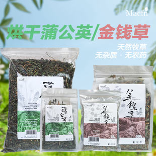 爬虫宠物陆龟草粮 预防结石调理肠道排酸排毒 烘干蒲公英金钱草