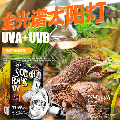 爬虫宠太阳灯陆龟晒背灯uva+uvb蜥蜴加温加热箱灯日灯70 100 160W
