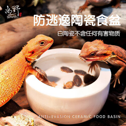 爬虫守宫蜥蜴食盆防逃逸爬宠鬃狮蜘蛛饲养箱活面包虫杜比亚陶瓷