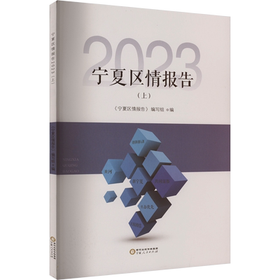 宁夏区情报告 2023(上) 《宁夏区情报告》编写组 编 国家/地区概况社科 新华书店正版图书籍 宁夏人民出版社
