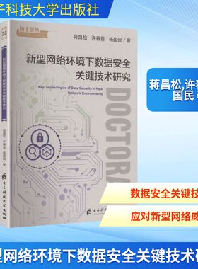 新型网络环境下数据安全关键技术研究 蒋昌松,许春香,杨国民 著 著 网络通信（新）专业科技 新华书店正版图书籍