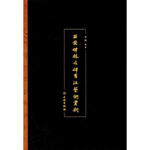 西安碑林名碑书法艺术赏析 王冰 著 书法/篆刻/字帖书籍艺术 新华书店正版图书籍 文物出版社