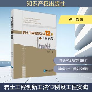 岩土工程创新工法12例及工程实践 何世鸣 著 著 建筑/水利（新）专业科技 新华书店正版图书籍 知识产权出版社