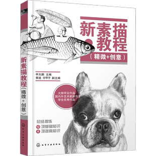 新素描教程(精微+创意) 申大鹏 编 绘画(新)艺术 新华书店正版图书籍 化学工业出版社