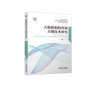 大数据相似查询关键技术研究 孙佶 著 数据库专业科技 新华书店正版图书籍 机械工业出版社
