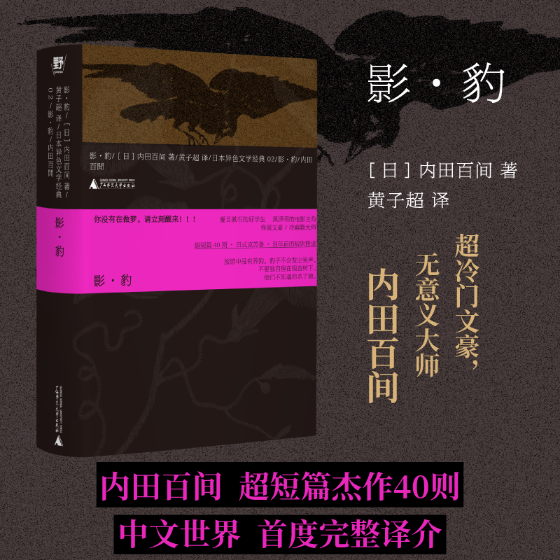 影豹 日式克苏鲁先驱内田百间的41则短篇小说 幽玄而冷峻的现代美感 精准描摹了那些鲜明却又无法以常理解释的梦境世界