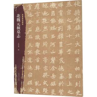 北朝墓志精选 北魏元桢墓志 王峰涛 编 书法/篆刻/字帖书籍艺术 新华书店正版图书籍 河南美术出版社