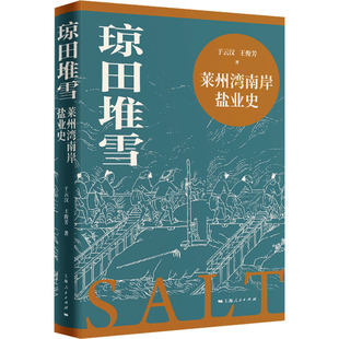 琼田堆雪 莱州湾南岸盐业史 于云汉,王俊芳 著 史学理论社科 新华书店正版图书籍 上海人民出版社