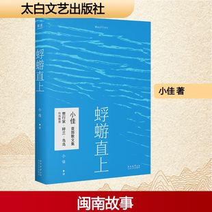 蜉蝣直上 小佳 著 脱口秀演员小佳首本散文集 积攒在小小少年心头的话 普通人摇摇晃晃跌跌撞撞 但仍值得过的一生 太白文艺出版社
