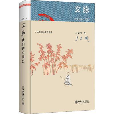 文脉 我们的心灵史 王充闾 著 中国通史文学 新华书店正版图书籍 北京大学出版社