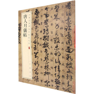 唐人月仪帖 中华书局编辑部 编 艺术其它艺术 新华书店正版图书籍 中华书局