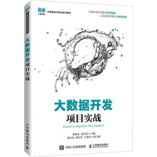 编 大学教材大中专 新华书店正版 大数据开发项目实战 人民邮电出版 张良均 图书籍 社 祝锡永