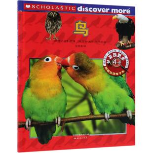 发现更多(4)鸟 （美）佩内洛普·阿隆 （美）托里·高登-哈里斯/著 张修源/译 著 张修源 译 益智游戏/立体翻翻书/玩具书少儿