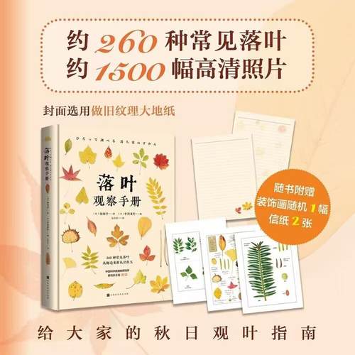 新华书店正版 摄影作品