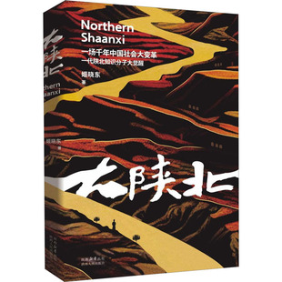 新华书店正版 社 图书籍 著 历史小说文学 姬晓东 陕西人民出版 大陕北