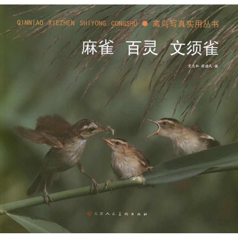 禽鸟写真实用丛书:麻雀.百灵.