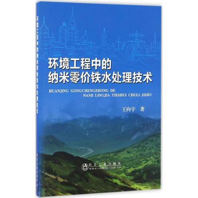 环境工程中的纳米零价铁水处理技术 王向宇 著 环境科学专业科技 新华书店正版图书籍 冶金工业出版社