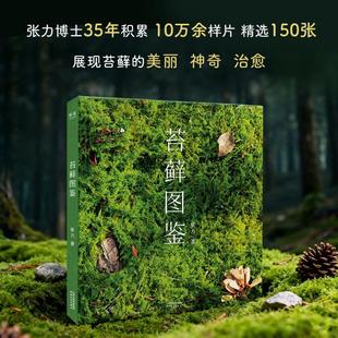 苔藓图鉴 张力 著 苔藓视觉图鉴呈现微小生命的丰富与美 讲解苔藓神奇的特性 对微小生命的温柔确认 天津人民出版社