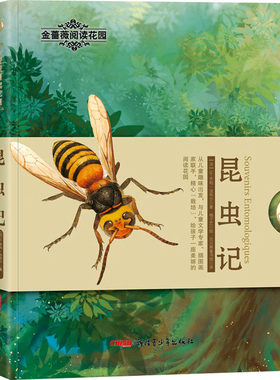 昆虫记 (法)让-亨利·法布尔 著 贝贝熊童书馆 译 杨子艺 绘 儿童文学少儿 新华书店正版图书籍 新疆青少年出版社