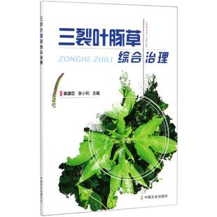 三裂叶豚草综合治理 崔建臣 张小利 著 农业基础科学专业科技 新华书店正版图书籍 中国农业出版社