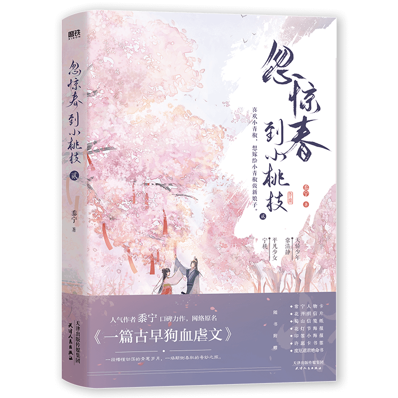 新华书店正版 青春小说
