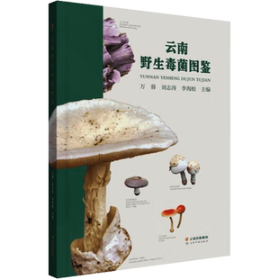 云南野生毒菌图鉴 万蓉,刘志涛,李海蛟 编 植物专业科技 新华书店正版图书籍 云南科技出版社